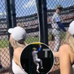 cubs-star-pete-crow-armstrong-learns-punishment-for-vile-exchange-with-female-white-sox-fan