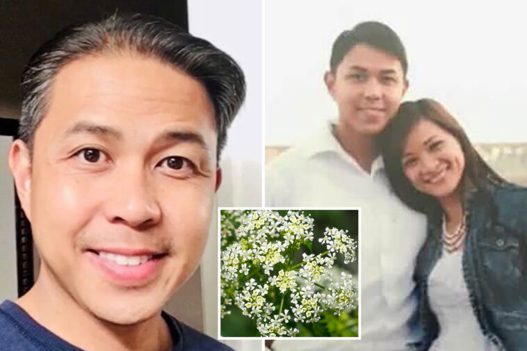 san-diego-wife’s-disappearance-tied-to-deadly-herb-and-reports-of-witchcraft