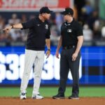 aaron-boone-ejected-in-fiery-scene-after-controversial-call-with-‘savages-in-the-f–king-box’-umpire