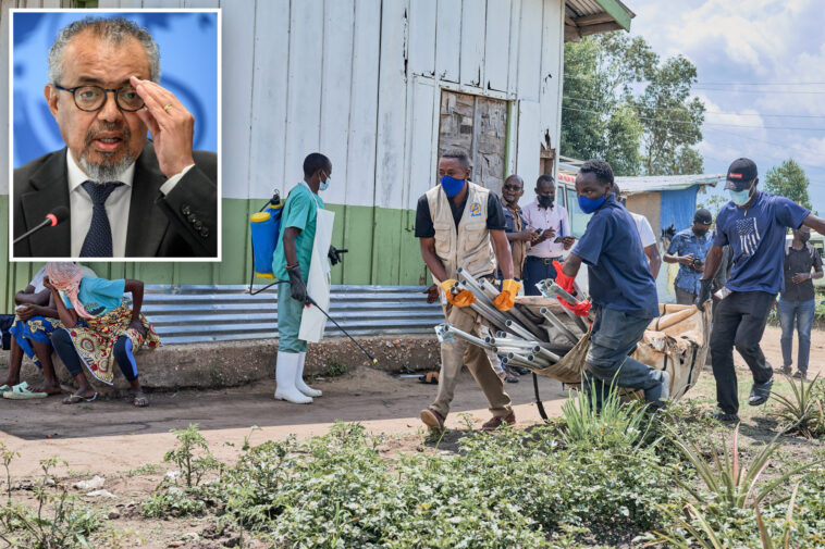 who-says-risk-of-ebola-outbreak-spreading-globally-is-low,-but-high-at-regional-levels-as-cases-expected-to-rise