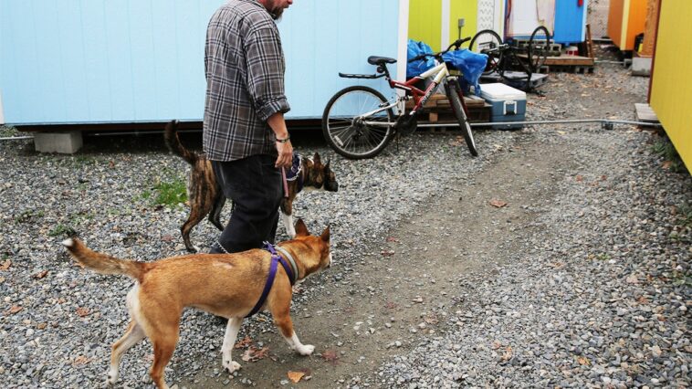 seattle-dog-owners-warned-about-pets-overdosing-in-viral-flyers