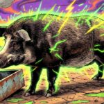 radioactive-hogs:-in-the-fukushima-nuclear-disaster-area,-the-mutant-super-pig-population-is-surging-out-of-control