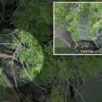 police-video-shows-fate-of-cop-killing-gunman-at-hands-of-california-sheriff’s-deputy