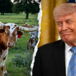trump-roasts-dem-candidate-as-unelectable-for-cardinal-sin-in-texas