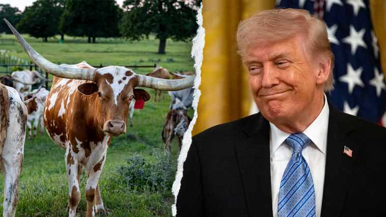 trump-roasts-dem-candidate-as-unelectable-for-cardinal-sin-in-texas