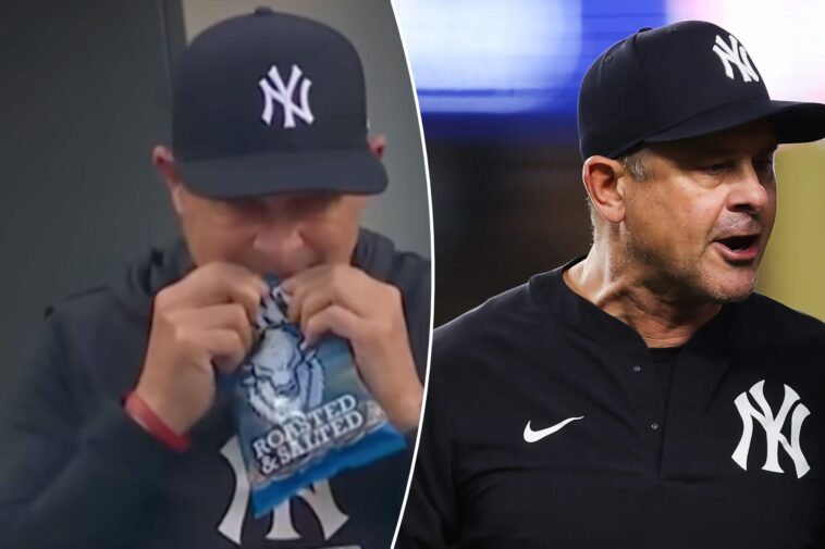 aaron-boone-opens-up-on-his-battle-with-a-bag-of-sunflower-seeds:-‘looking-like-an-idiot’