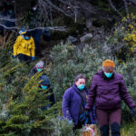argentina-traps-rats-in-search-for-source-of-hantavirus-outbreak