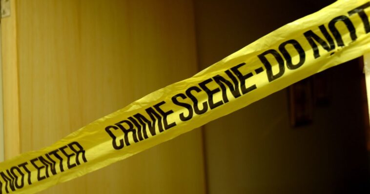 woman-pleads-guilty-to-murder-of-girl,-2,-after-police-find-grisly-box-hidden-in-back-of-closet