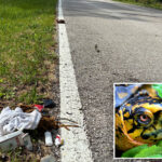 indiana-man-seen-dancing-in-roadway-while-cradling-rare-turtle-arrested-for-meth-possession