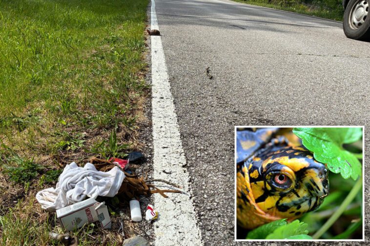 indiana-man-seen-dancing-in-roadway-while-cradling-rare-turtle-arrested-for-meth-possession