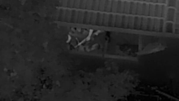 video-shows-police-take-down-cop-killer-with-armored-vehicle-after-gunman-turned-neighborhood-into-war-zone