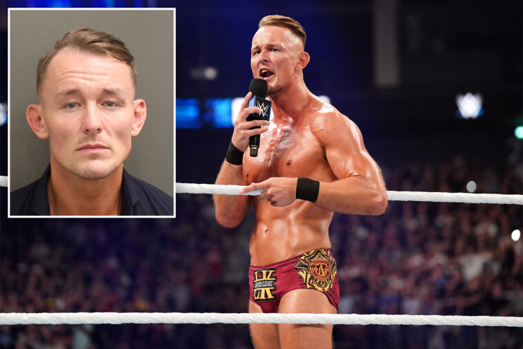 wwe-star-ludwig-kaiser-arrested-on-battery-charge-in-florida