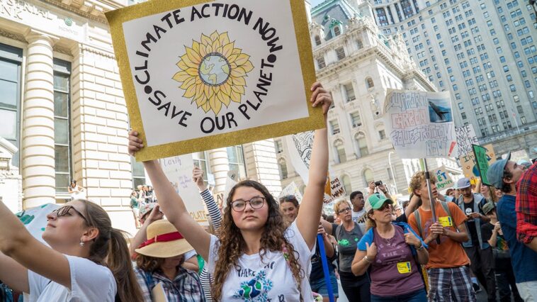 john-yoo,-michael-toth:-aloha-state-lawsuits-push-radical-climate-agenda