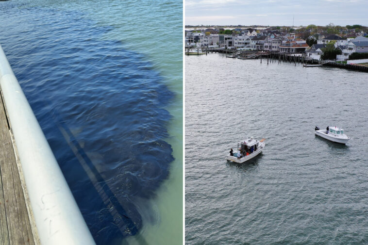 30k-gallons-of-nasty-sewage-waste-accidentally-unloaded-in-long-island-waterway