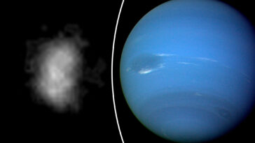 ‘extremely-understudied’-moon-nereid-may-hold-incredible-tie-to-neptune,-study-shows