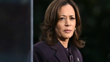 dems-sat-on-their-2024-autopsy-for-a-year-now-we-know-why.