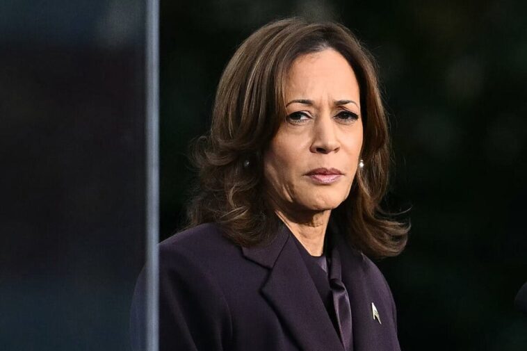 dems-sat-on-their-2024-autopsy-for-a-year-now-we-know-why.