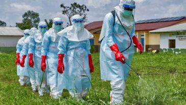 india-africa-summit-postponed-as-ebola-outbreak-in-congo-nears-600-suspected-cases