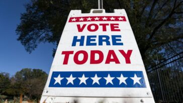 the-left-uses-racist-tactics-to-determine-political-representation