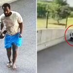 minnesota-fraud-suspect-hobbles-away-after-jumping-from-4th-floor-balcony-to-flee-fbi-in-shocking-video