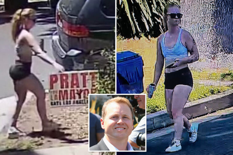 woman-caught-on-camera-removing-spencer-pratt-campaign-signs-in-la-neighborhood