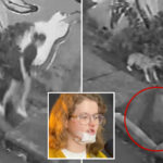 jaw-dropping-video-shows-woman-suddenly-plunge-into-sidewalk-as-ground-collapses-beneath-feet