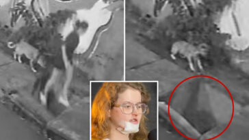 jaw-dropping-video-shows-woman-suddenly-plunge-into-sidewalk-as-ground-collapses-beneath-feet