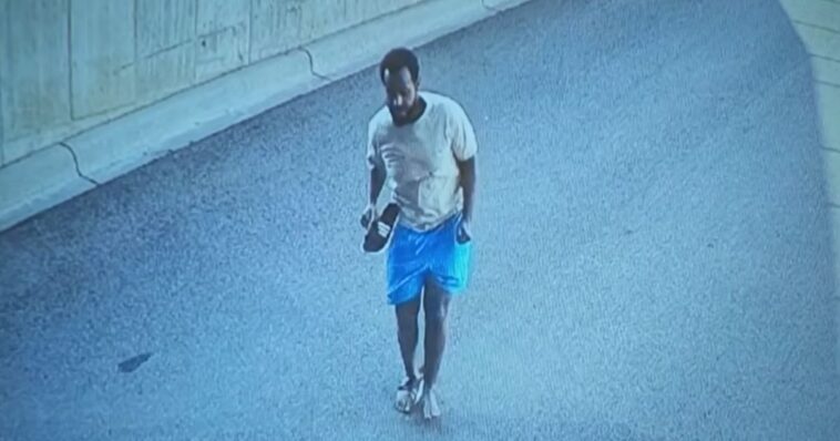 breaking:-fbi-hunting-for-suspect-who-jumped-off-balcony-amid-major-minnesota-fraud-bust
