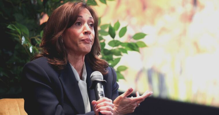 dems’-unfinished-2024-autopsy-rips-harris-—-she-‘wrote-off-rural-america’-—-and-humiliates-dnc