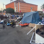 stomach-turning-video-shows-la-homeless-encampment-overrun-by-rats-near-residential-neighborhood