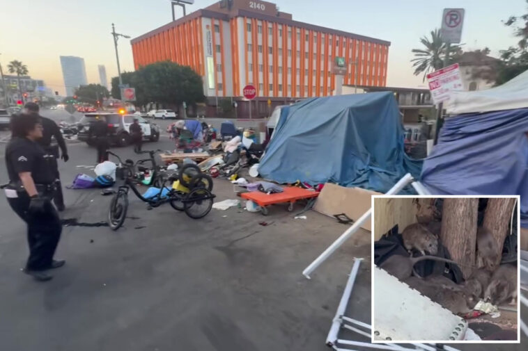 stomach-turning-video-shows-la-homeless-encampment-overrun-by-rats-near-residential-neighborhood
