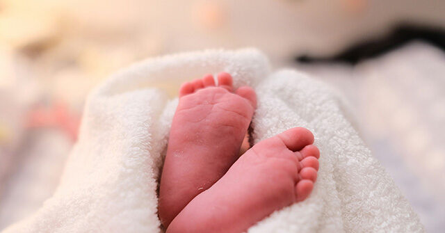 safe-haven-baby-boxes-locations-launch-in-maine,-new-hampshire