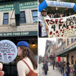 park-slope-food-coop-under-fire-over-anti-jewish-hostility-ahead-of-israel-boycott-vote