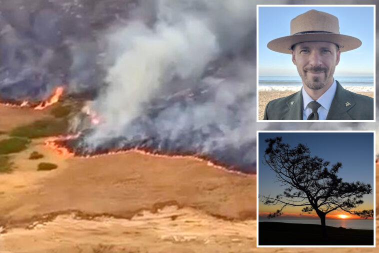 rare-species-threatened-by-devastating-california-island-wildfire