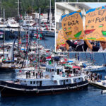 california-activists-part-of-flotilla-deported-for-trying-to-enter-gaza