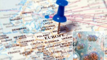 gonorrhea-and-syphilis-skyrocket-in-europe-—-and-this-country-has-the-highest-spike