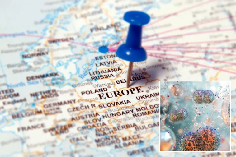 gonorrhea-and-syphilis-skyrocket-in-europe-—-and-this-country-has-the-highest-spike