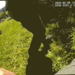 85-year-old-‘hero’-stops-man-posing-as-utility-worker-trying-to-kidnap-woman,-authorities-say