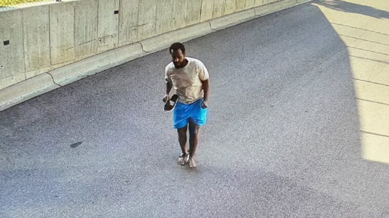 minnesota-fraud-suspect-who-jumped-from-building-is-arrested,-fbi-says