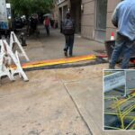nyc-dog-electrocuted-by-coned-live-wires-days-after-grandmother-killed-in-company’s-open-manhole