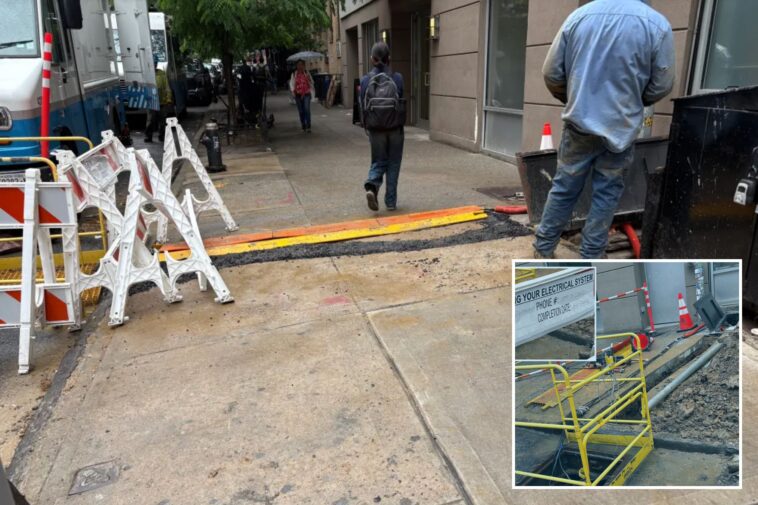 nyc-dog-electrocuted-by-coned-live-wires-days-after-grandmother-killed-in-company’s-open-manhole