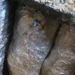cops-raid-mexican-cartel-meth-lab-…-in-nigeria