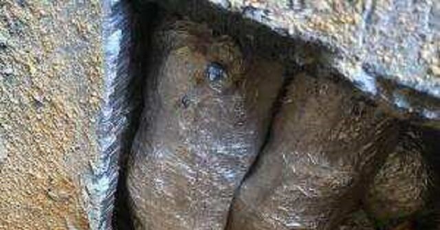 cops-raid-mexican-cartel-meth-lab-…-in-nigeria