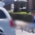 morbid-moment-body-falls-from-mortuary-van-in-the-middle-of-la-street