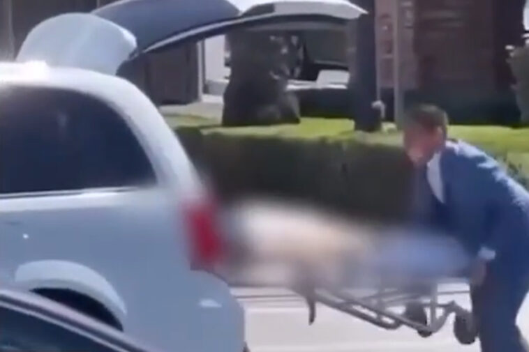 morbid-moment-body-falls-from-mortuary-van-in-the-middle-of-la-street