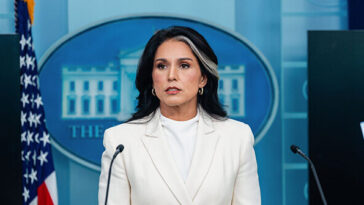 tulsi-gabbard-resigns-from-cabinet,-cites-husband’s-‘extremely-rare’-cancer