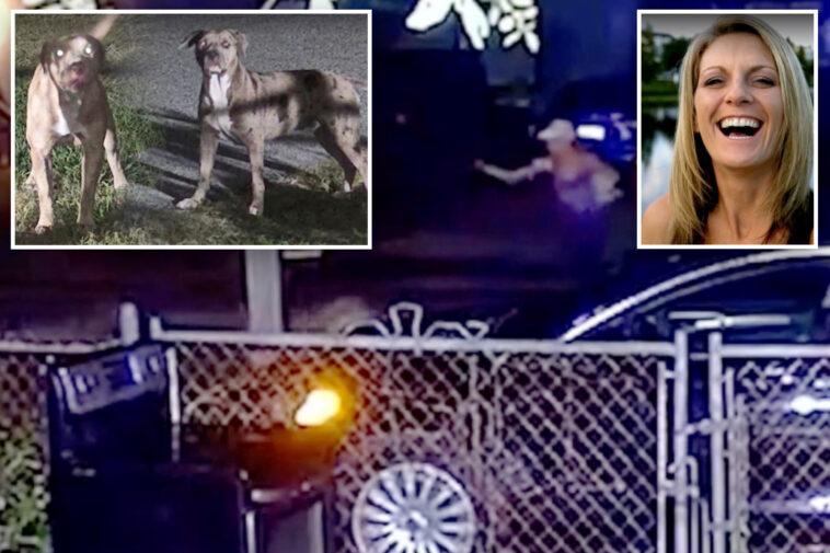 fla.-woman,-50,-‘ripped-apart’-by-neighbors’-pit-bulls,-who-were-known-to-terrorize-the-neighborhood