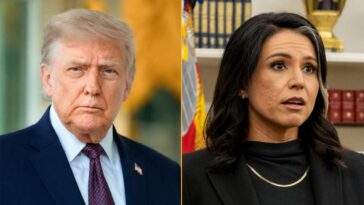 tulsi-gabbard-forced-to-resign-after-trump-discovers-she’s-not-blonde