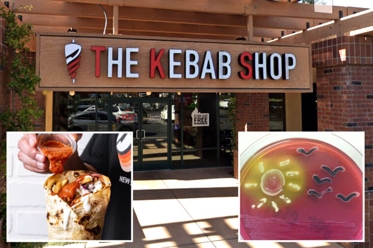 kids-hospitalized-as-california-investigates-e.-coli-outbreak-linked-to-the-kebab-shop