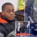 3-more-teens-busted-in-deadly-gang-fueled-beatdown,-shooting-of-15-year-old-boy-in-nyc:-cops